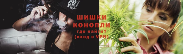 дурь Сясьстрой