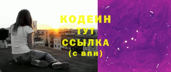 ПСИЛОЦИБИНОВЫЕ ГРИБЫ Богданович