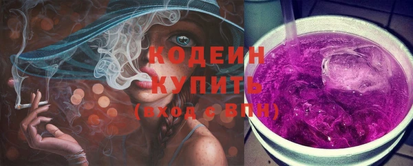 ПСИЛОЦИБИНОВЫЕ ГРИБЫ Богданович