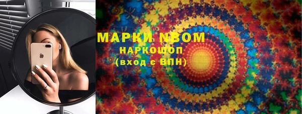 ПСИЛОЦИБИНОВЫЕ ГРИБЫ Богданович