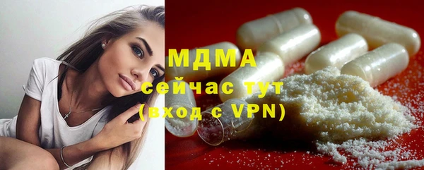 ПСИЛОЦИБИНОВЫЕ ГРИБЫ Богданович