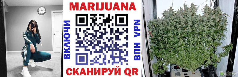 Бошки Шишки White Widow  как найти наркотики  Макаров 